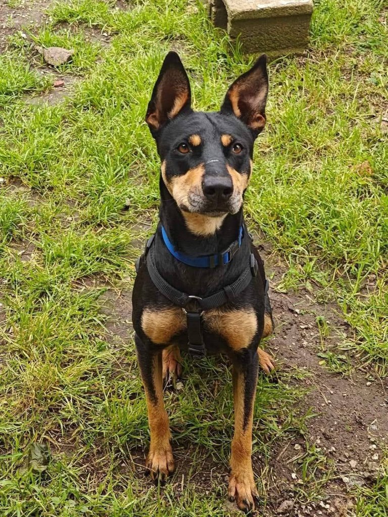LUNA