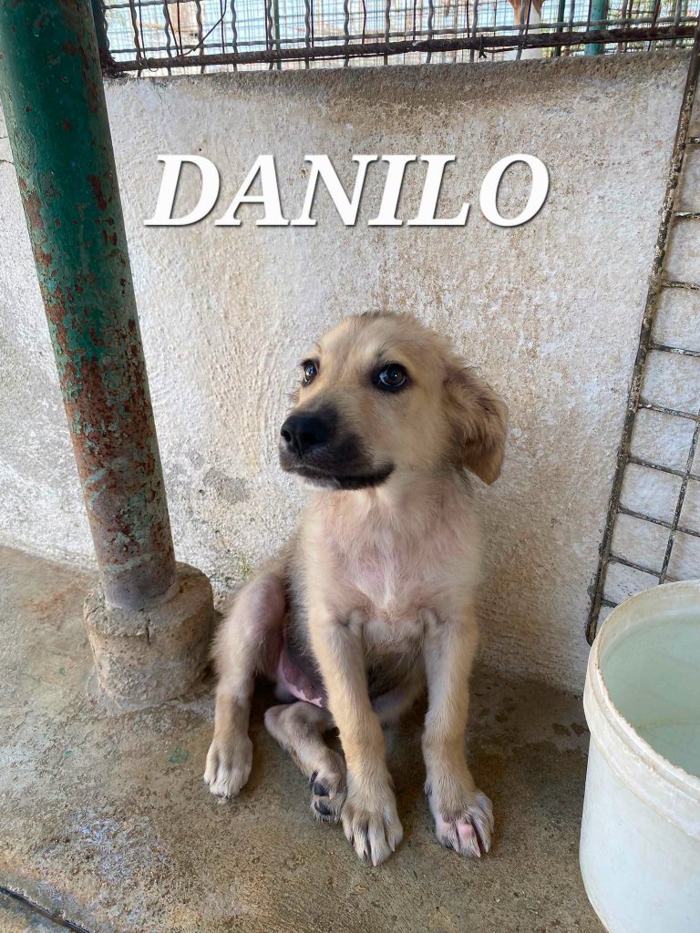 DANILO