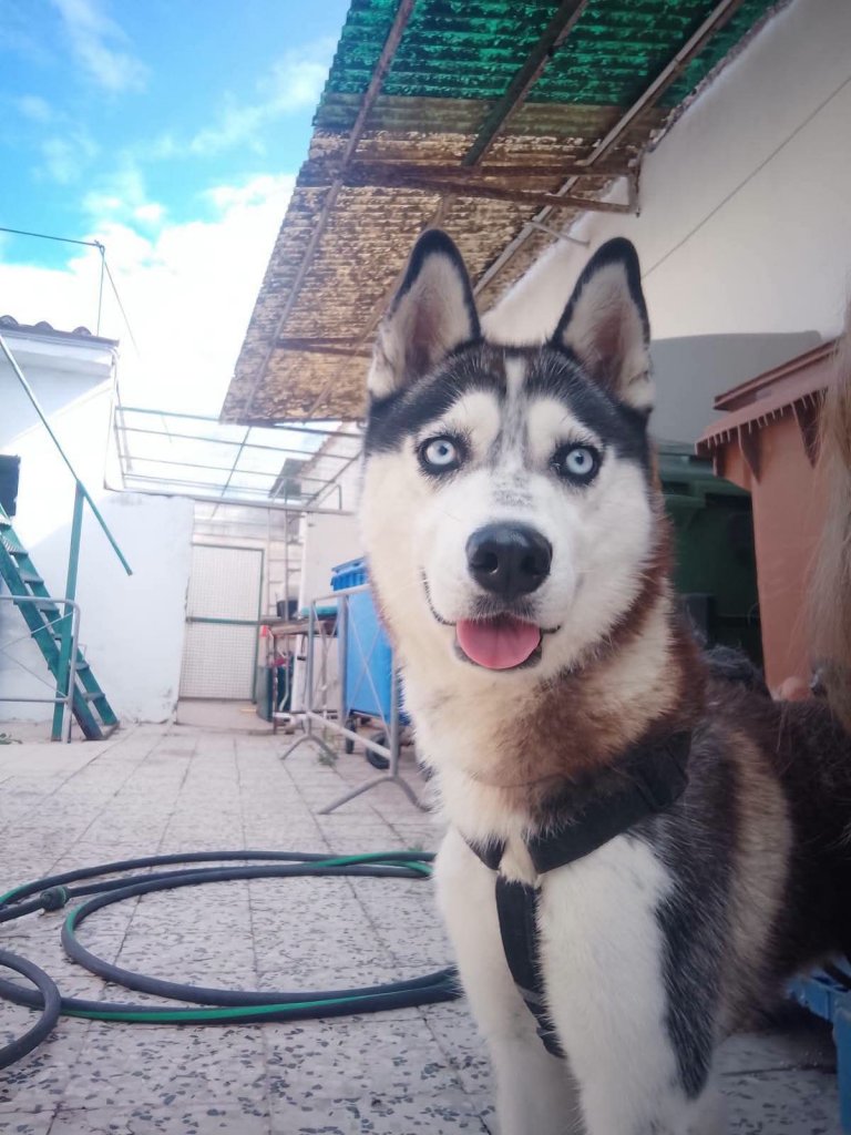 KIRA